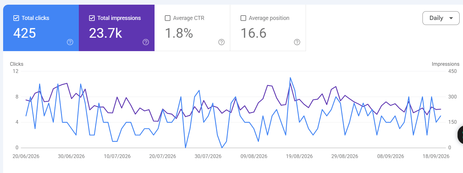 RNK Rentals SEO analytics and search performance